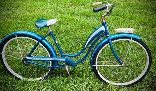 Schwinn Fiesta specificaties